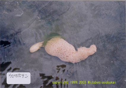 �E�~�T�{�e��