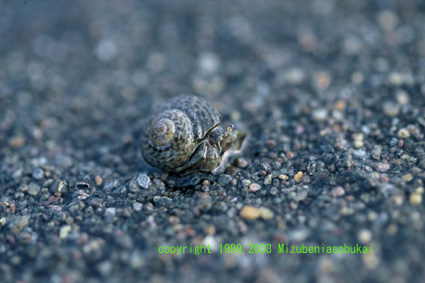 ���r�i�K�z�����h�J��