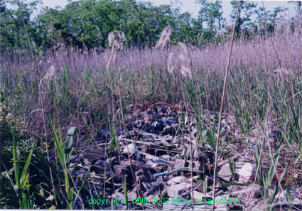 �A�V�@�����͌�