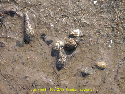 �A�����V���K�C 2002�N9��23��