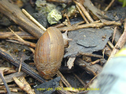 �I�J�~�~�K�C