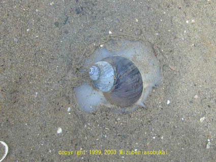 �T�L�O���^�}�c���^