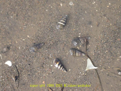 �E�~�j�i�@2002�N9��23��