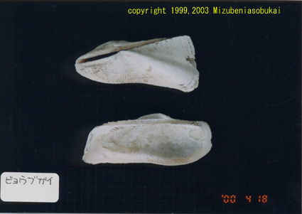 �r���E�u�K�C