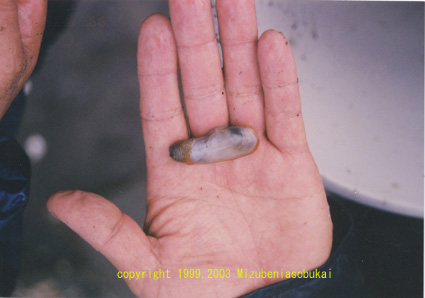 �\�g�I���K�C