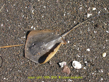 �A�J�G�C�@2002�N9��23��