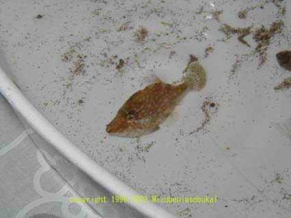 �A�~�n�M�@2002�N8��9��