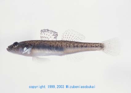 �r�����S