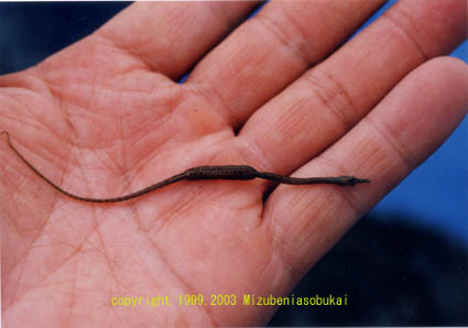 ���E�W�E�I�@2001�N6��